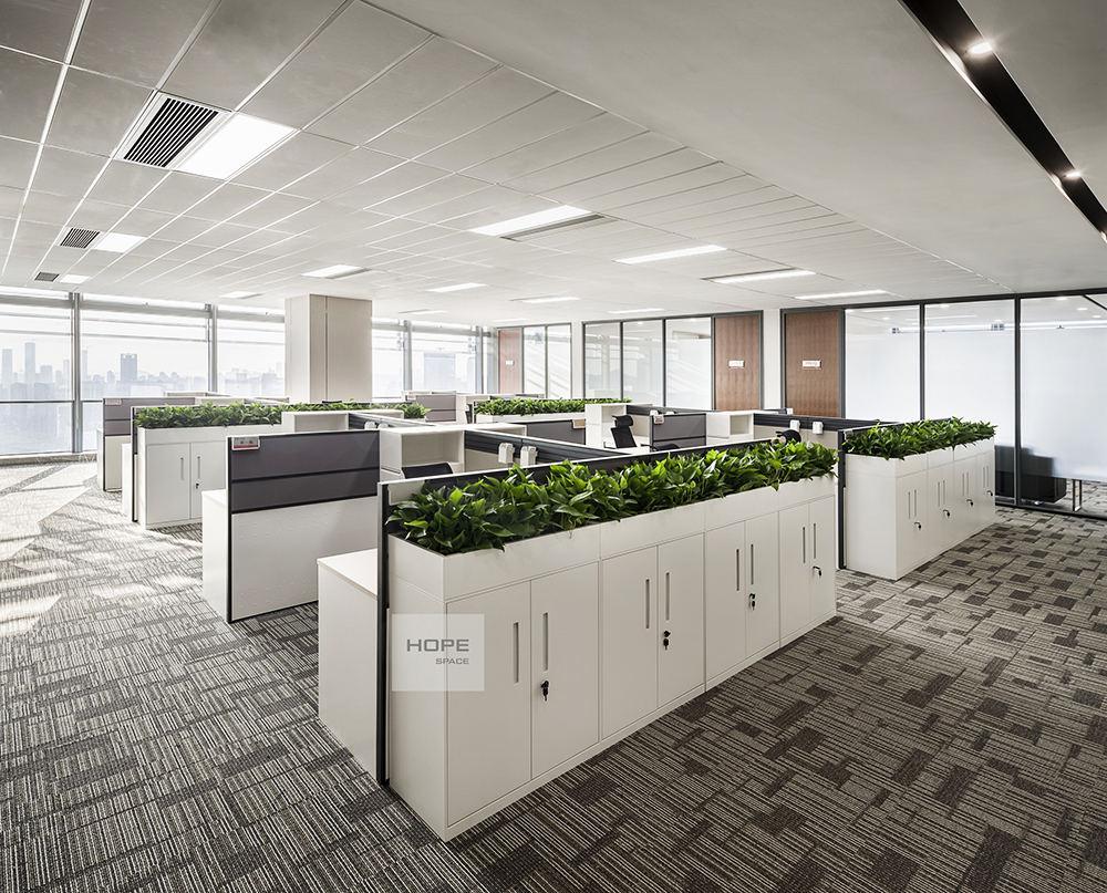 1594115782592848.jpg 23.jpg